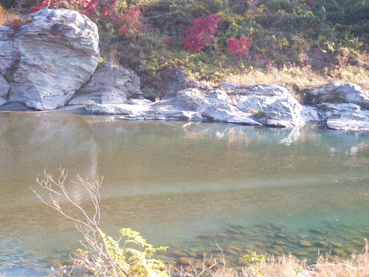 f:id:sakurado:20201124163434j:plain