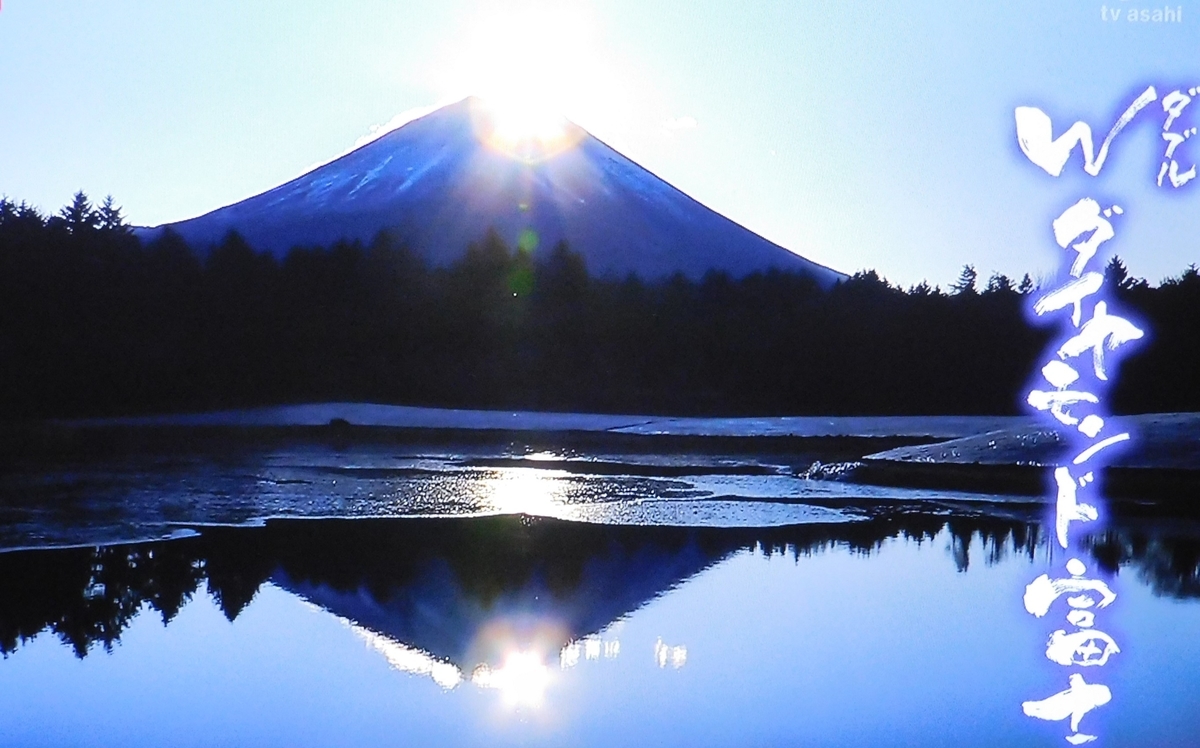 f:id:sakurado:20210101134635j:plain