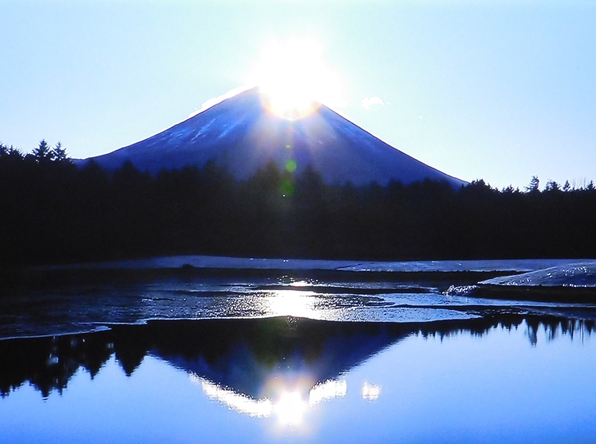 f:id:sakurado:20210101134656j:plain