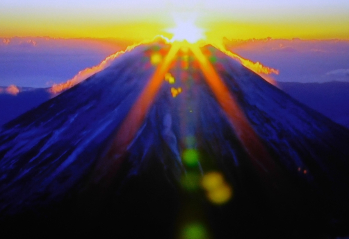 f:id:sakurado:20210101135052j:plain