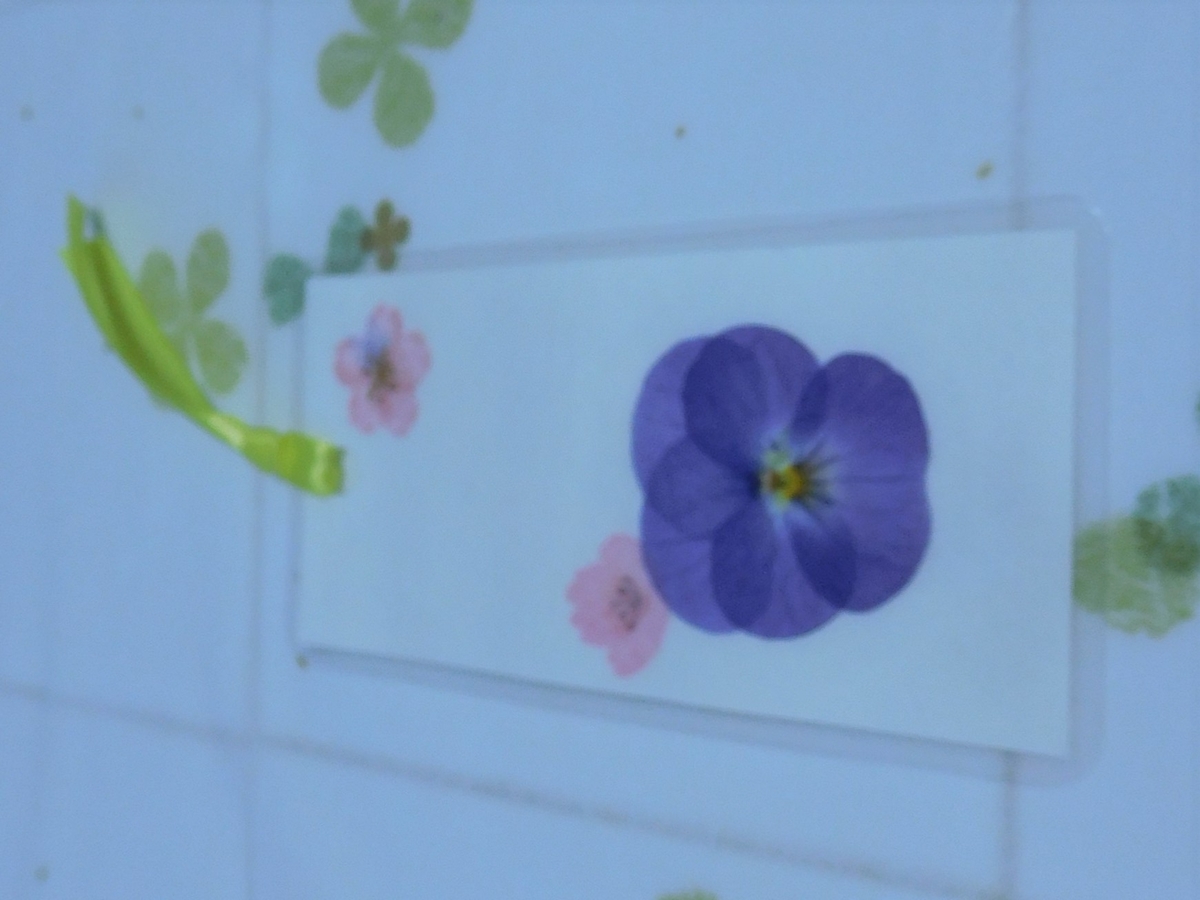f:id:sakurado:20210323112301j:plain