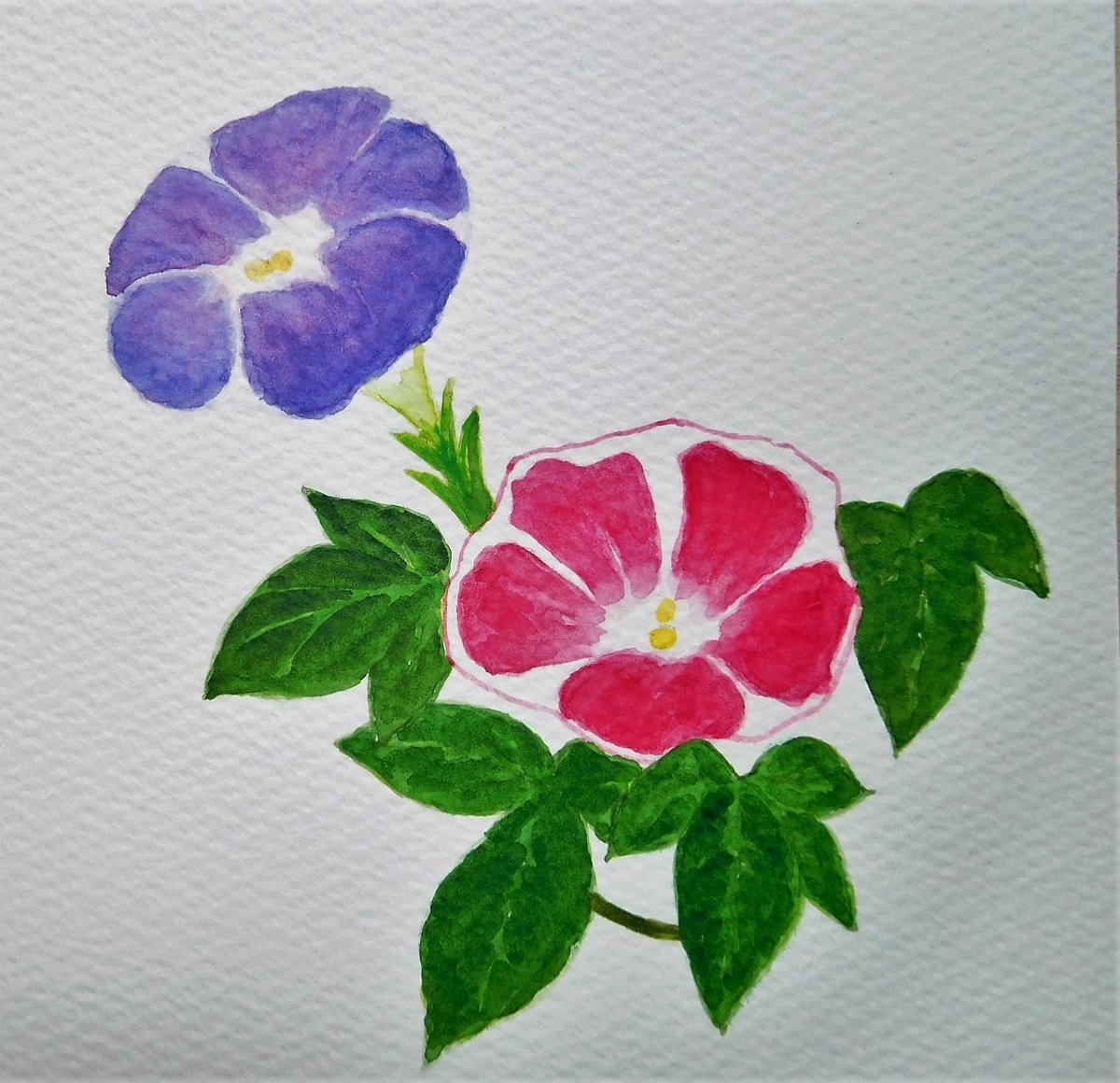 f:id:sakurado:20210801115058j:plain