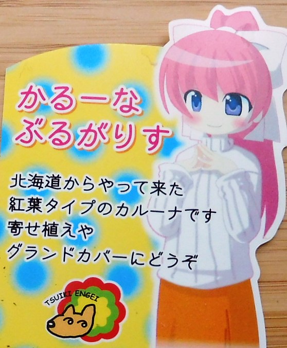 f:id:sakurado:20220126094302j:plain