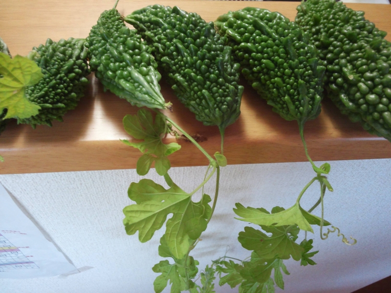 f:id:sakuragai0817:20121003164510j:image:w360
