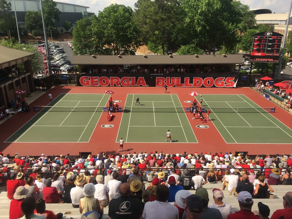 f:id:sakuragasaitane:20190221043625j:plain