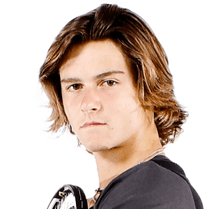 f:id:sakuragasaitane:20190221125614p:plain f:id:sakuragasaitane:20190221125614p:plain