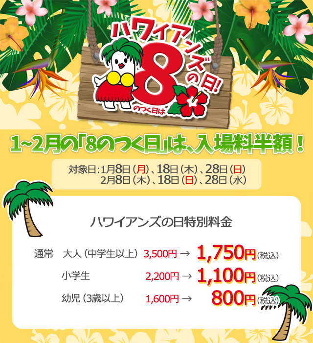 f:id:sakuraginaoto:20180126231413j:plain f:id:sakuraginaoto:20180126231413j:plain