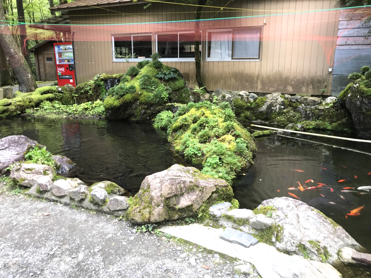 彩の国キャンプ村魚の餌