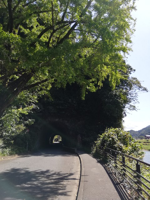 待てば海路の日和ありとは 一般の人気 最新記事を集めました はてな 待てば海路の日和ありとは 一般の人気 最新記事を集めました はてな