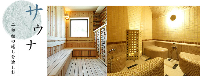 f:id:sakuraho:20170411182631j:plain