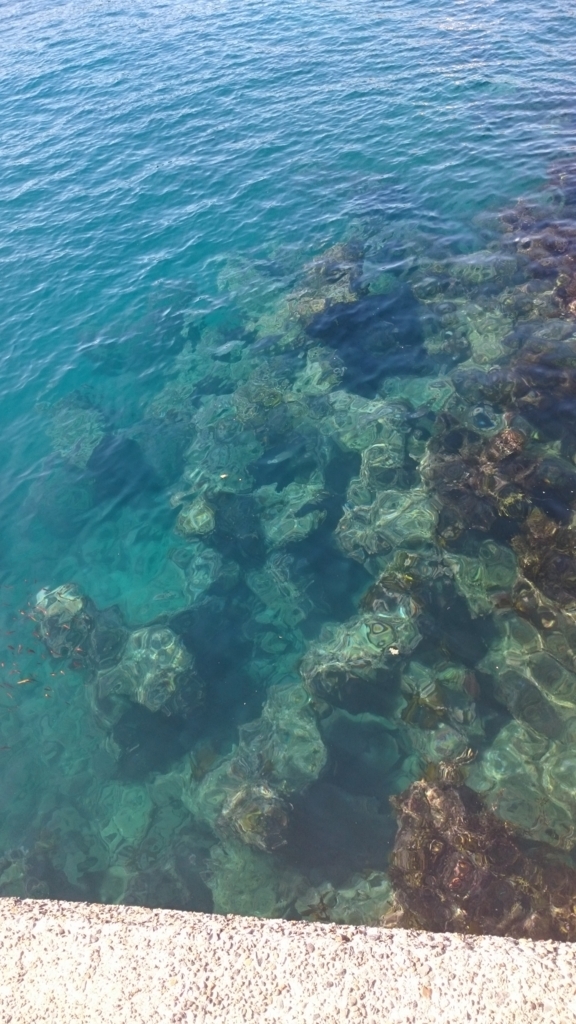 f:id:sakurai49:20171215204801j:plain