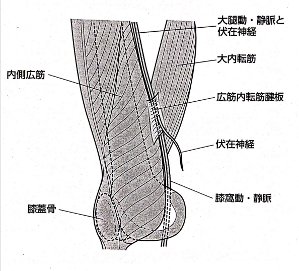 f:id:sakuraiku:20201221091919p:plain