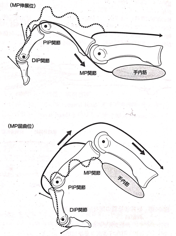 f:id:sakuraiku:20210128094115p:plain
