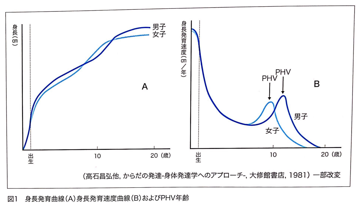 発育発達期の身体的特徴 身長・骨格・体重・スキャモンの発育曲線・神経系・筋コントロール・エネルギー代謝量・最大酸素摂取量 - 野球 × 理学療法士