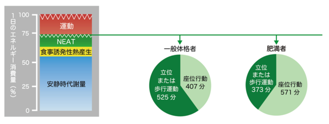 f:id:sakuraiku:20211115105726p:plain