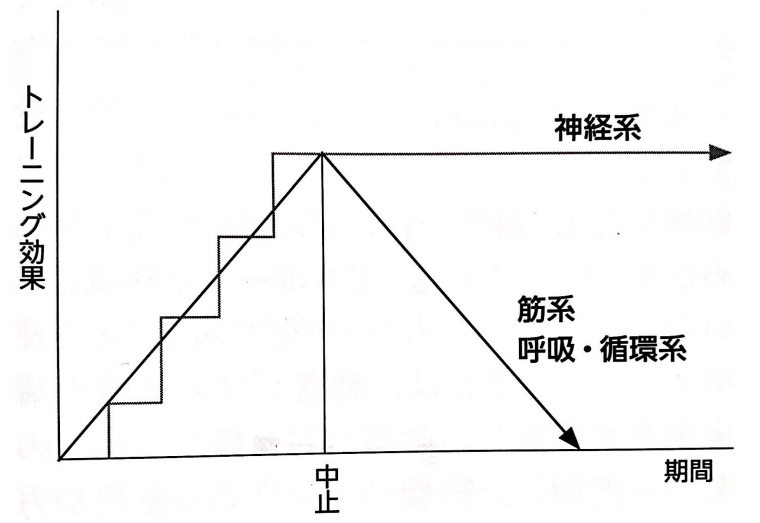 f:id:sakuraiku:20211122093949p:plain