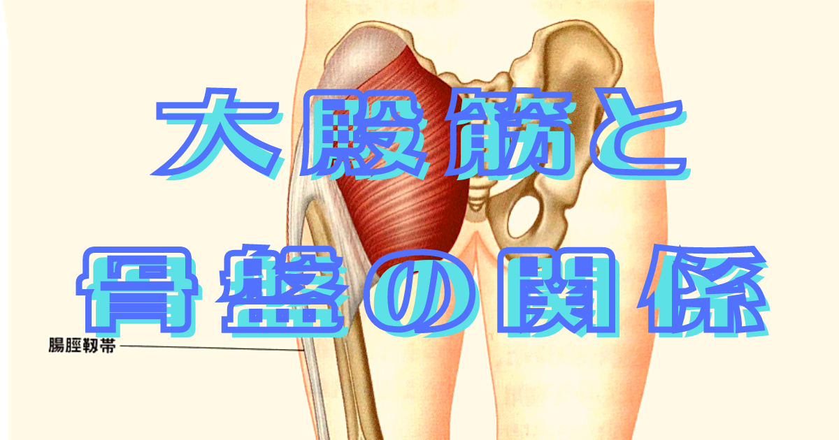 f:id:sakuraiku:20220124102011p:plain