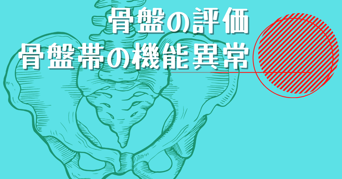 f:id:sakuraiku:20220203065711p:plain