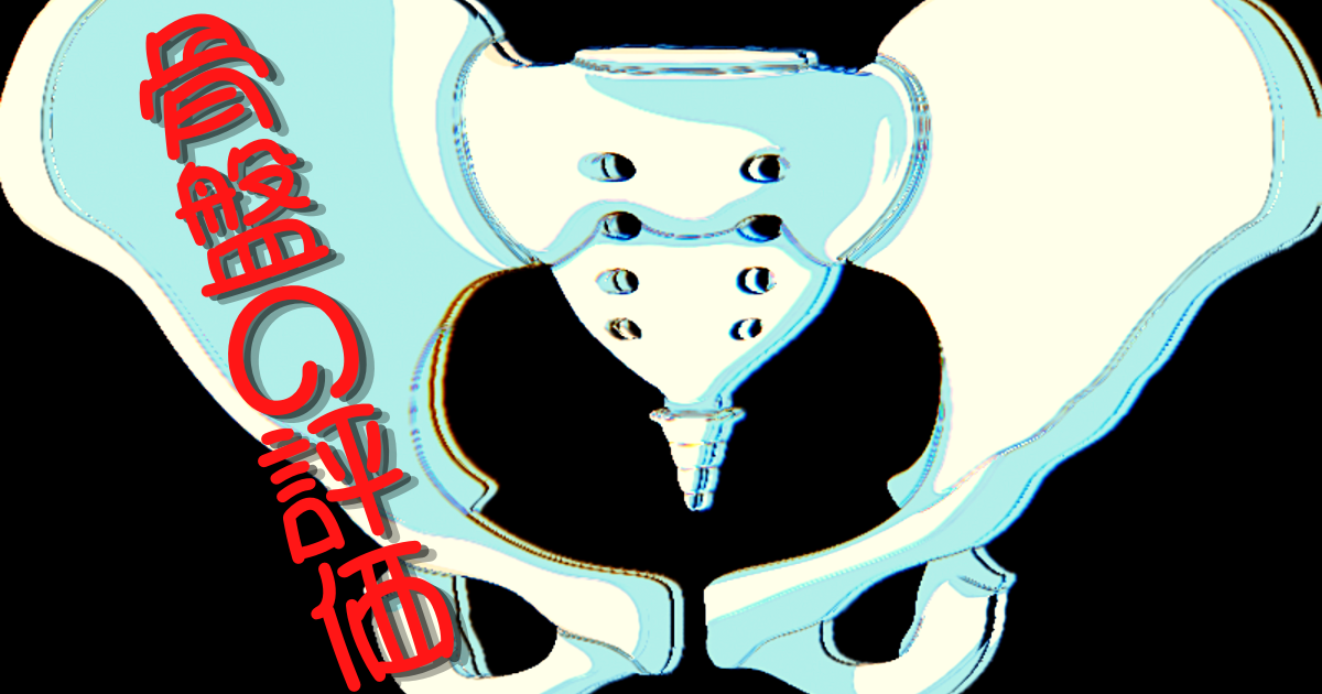 f:id:sakuraiku:20220210143925p:plain