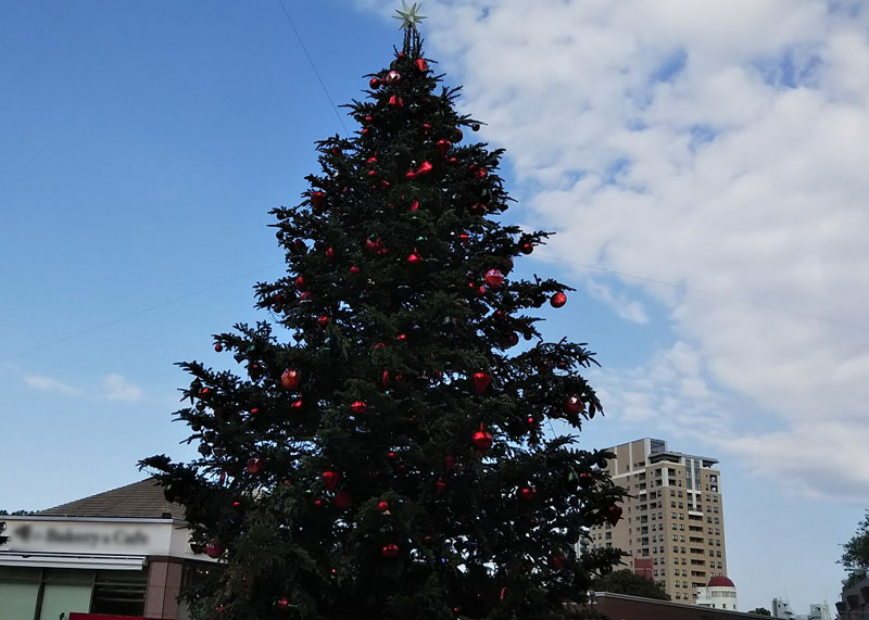 f:id:sakurairo270:20191221133952j:plain f:id:sakurairo270:20191221133952j:plain
