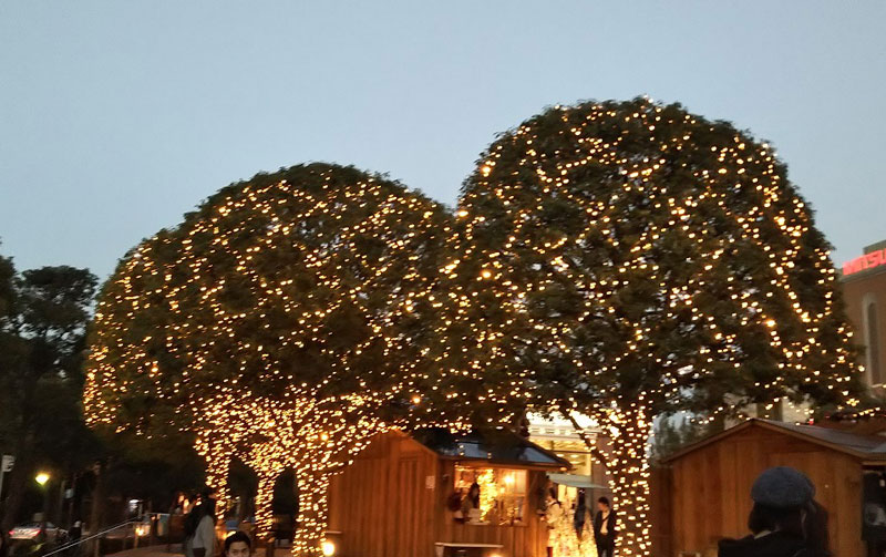 f:id:sakurairo270:20191221233044j:plain f:id:sakurairo270:20191221233044j:plain