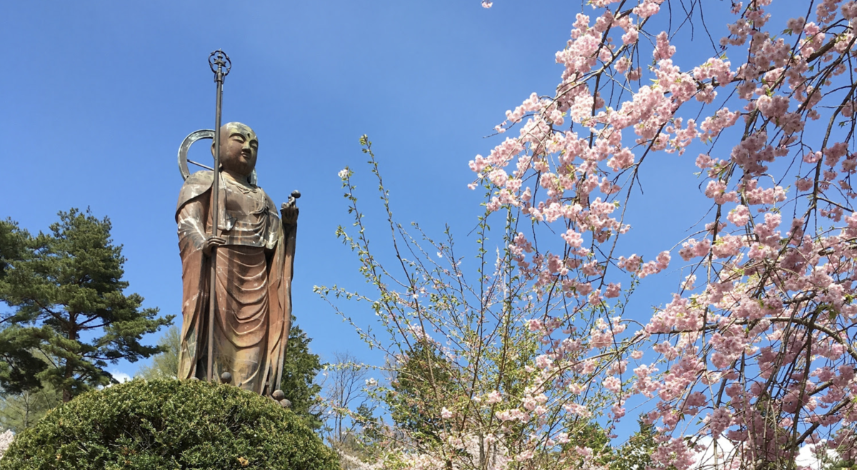 軽井沢周辺で楽しめる 東信の桜の名所まとめ10選 軽井沢から通勤するit系会社員のブログ