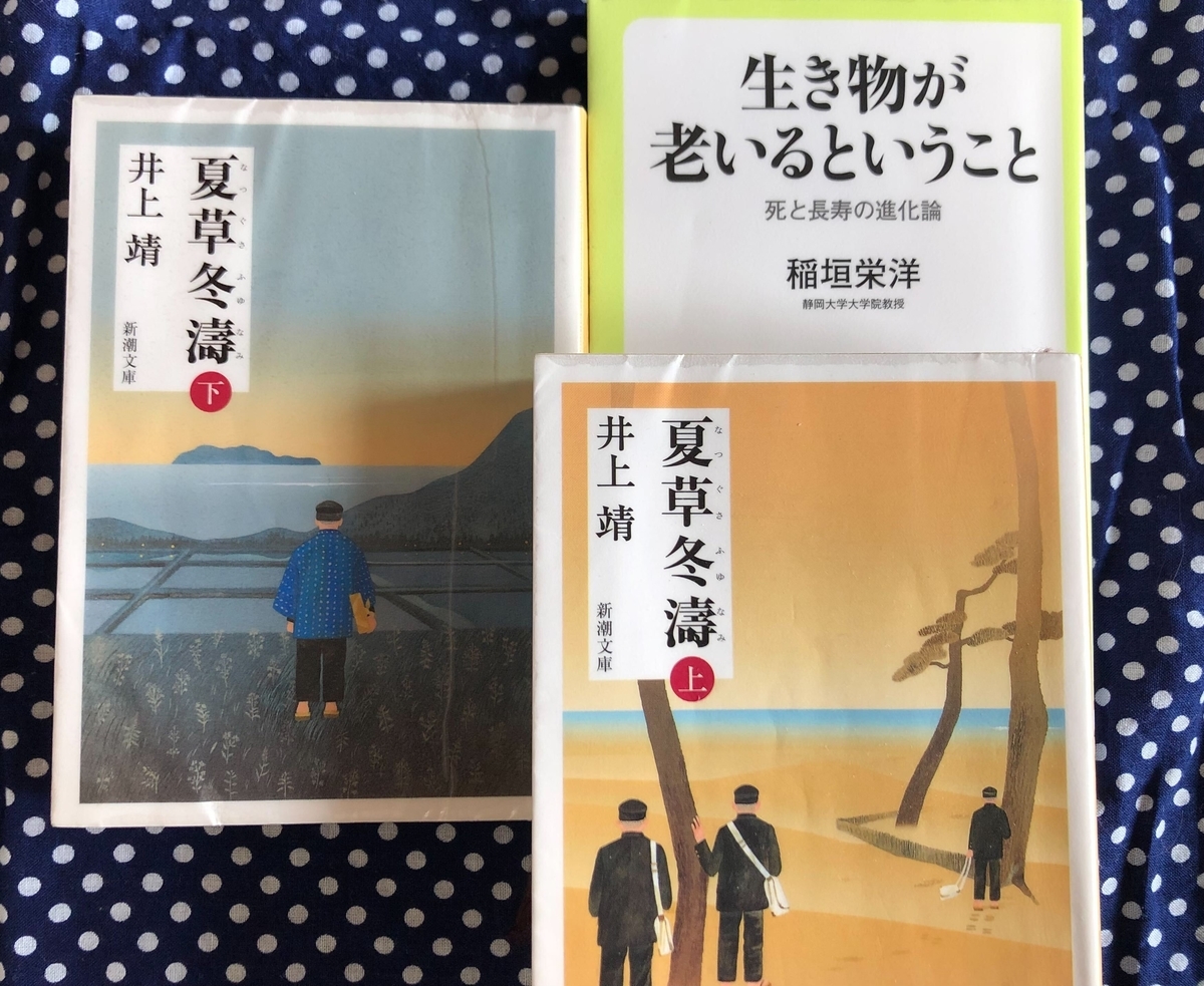 桜子が最近読んだ本（6年生8月②） - 貧乏だけど中学受験〜しま