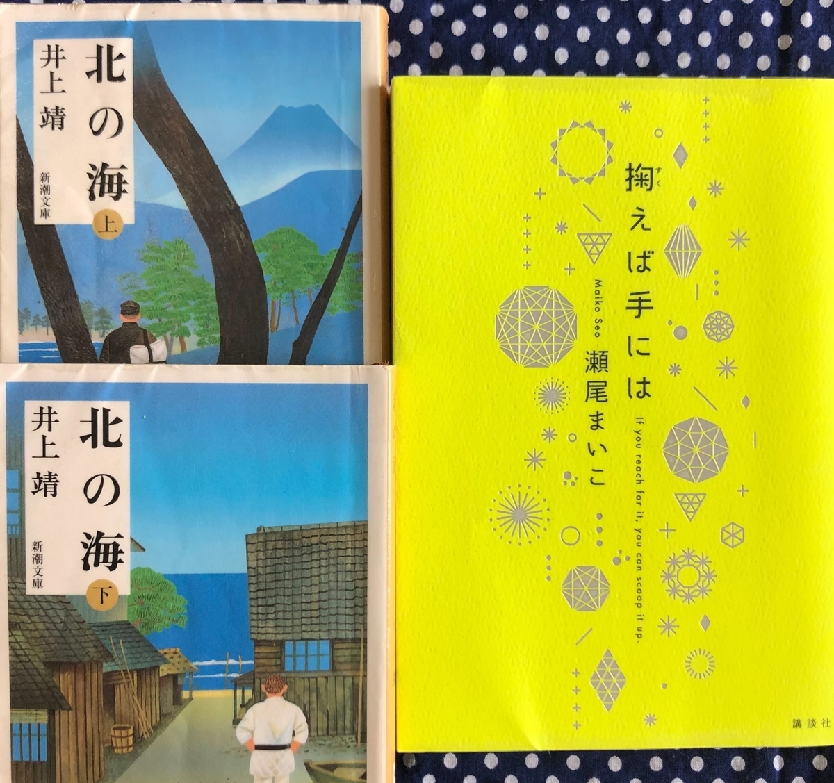 桜子が最近読んだ本（6年生9月①） - 貧乏だけど中学受験〜しま