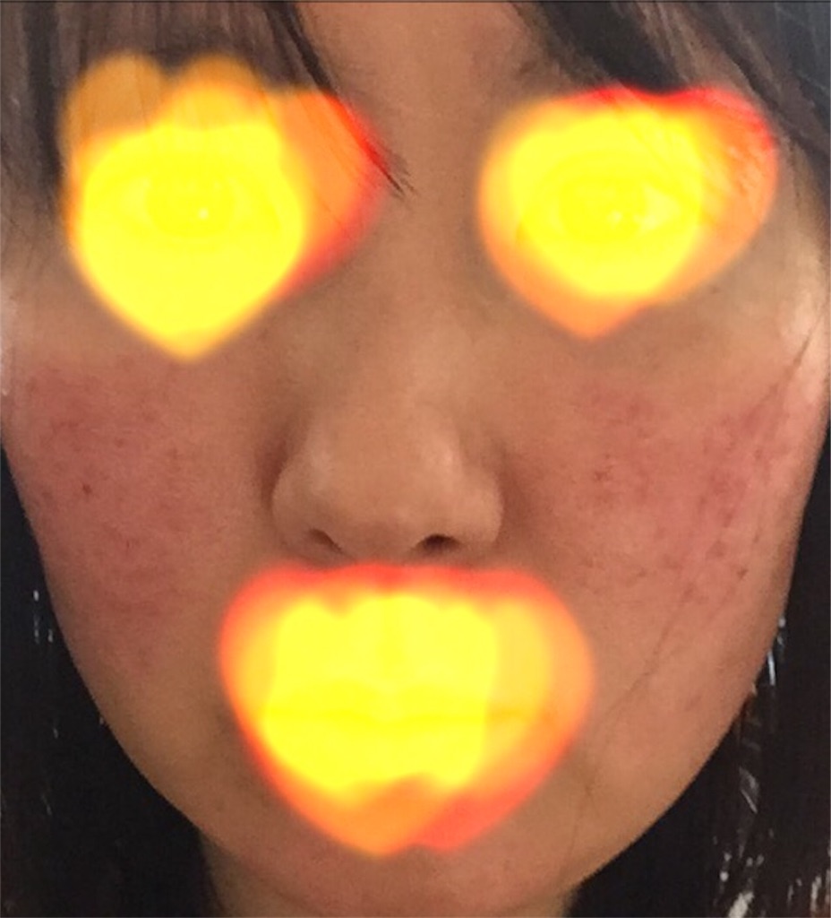 f:id:sakurako-up-up:20170520145117j:image