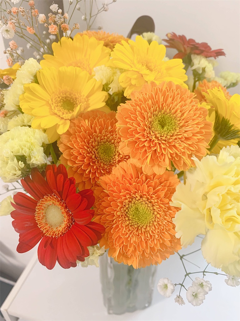 f:id:sakurako_t:20210228052206j:image f:id:sakurako_t:20210228052206j:image