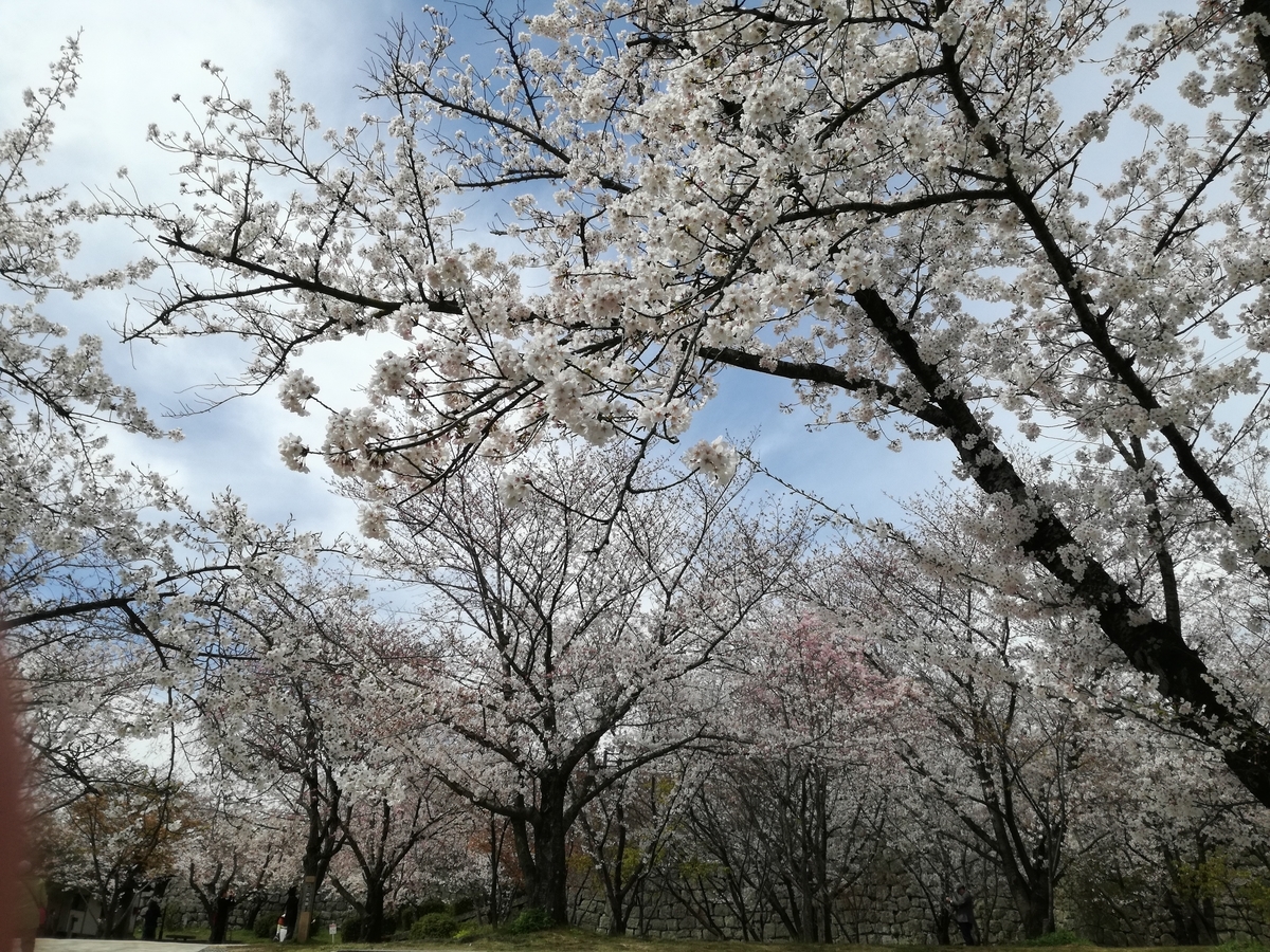 f:id:sakurakokun:20190409072840j:plain f:id:sakurakokun:20190409072840j:plain