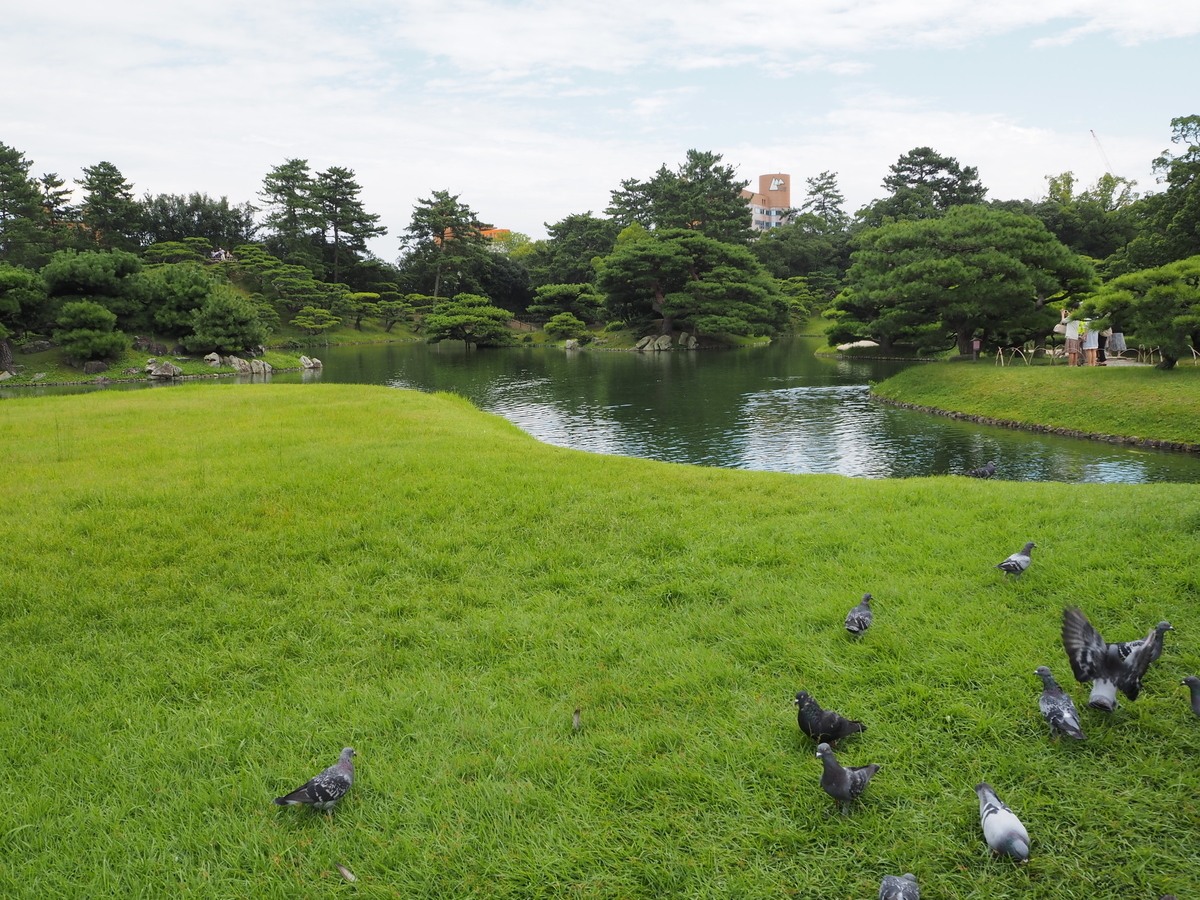 f:id:sakurakokun:20200523181919j:plain f:id:sakurakokun:20200523181919j:plain