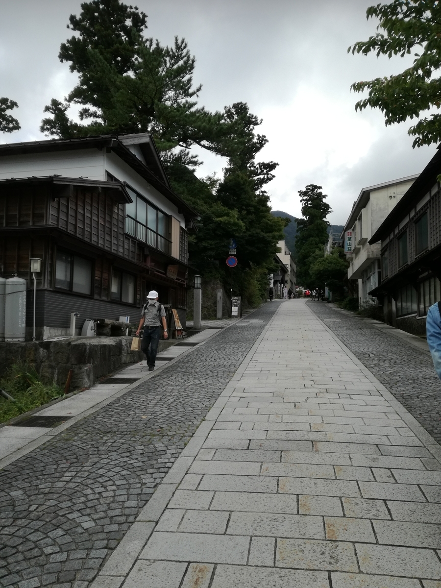f:id:sakurakokun:20201206183502j:plain