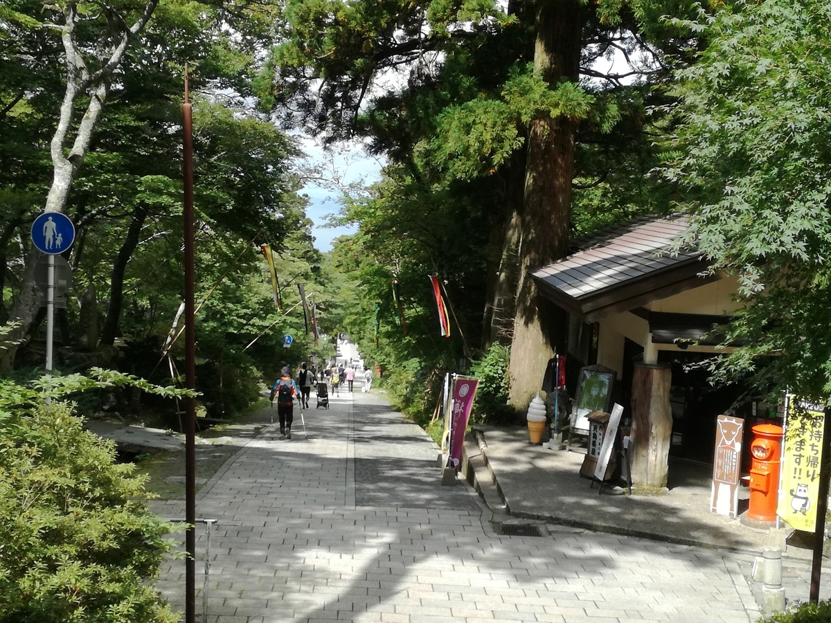 f:id:sakurakokun:20201206183928j:plain
