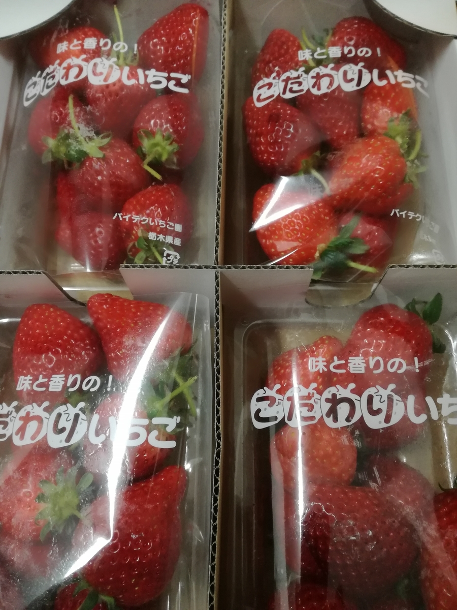 f:id:sakurakokun:20210227083340j:plain