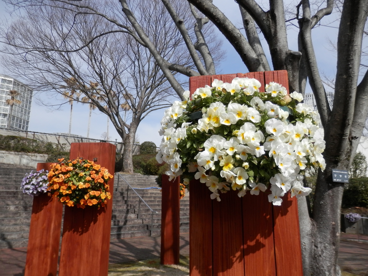 f:id:sakurakokun:20210330125844j:plain