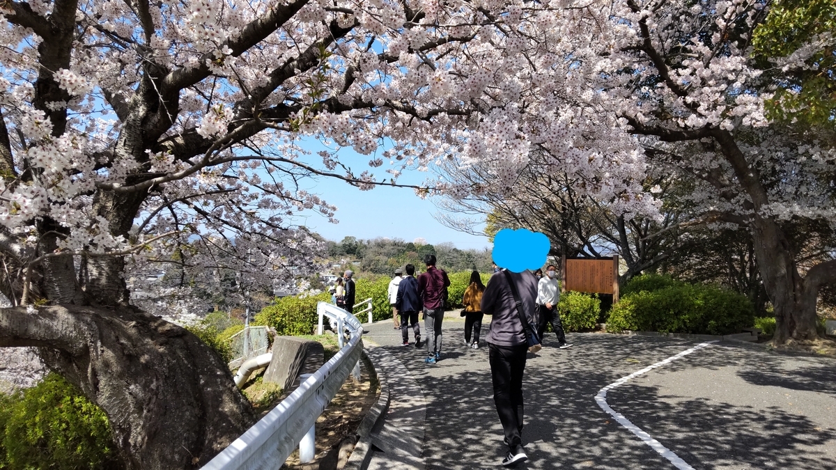 f:id:sakurakokun:20220403182154j:plain