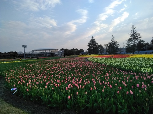 f:id:sakurakoman:20180329154252j:plain