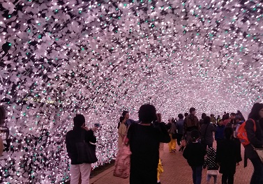 f:id:sakurakoman:20180329171203j:plain