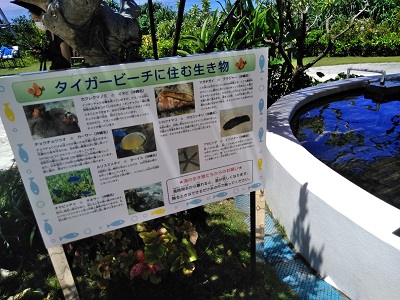 f:id:sakurakoman:20180904164848j:plain