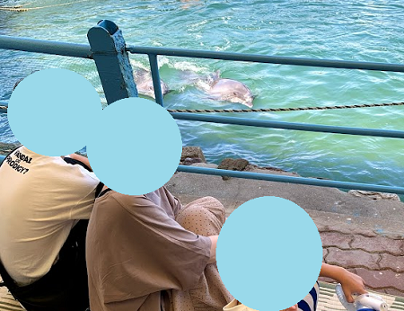 f:id:sakurakoman:20210829152256p:plain