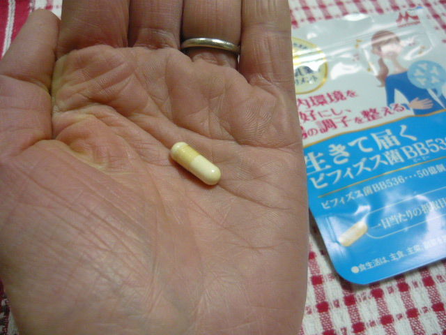 森永乳業、ビフィズス菌BB536、腸活