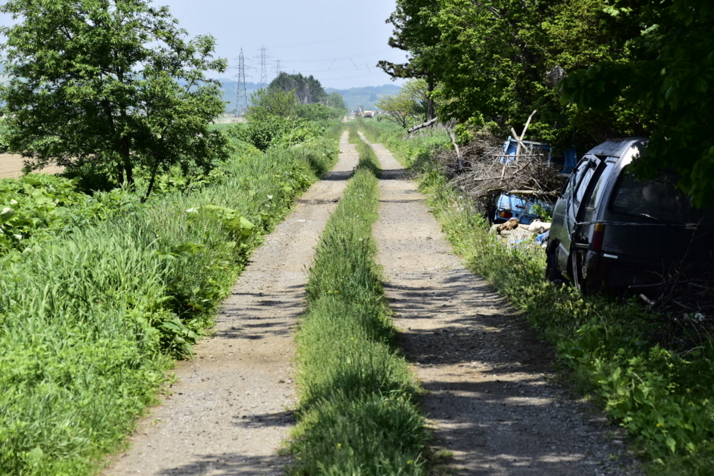 f:id:sakurakura0:20180609201528j:plain f:id:sakurakura0:20180609201528j:plain