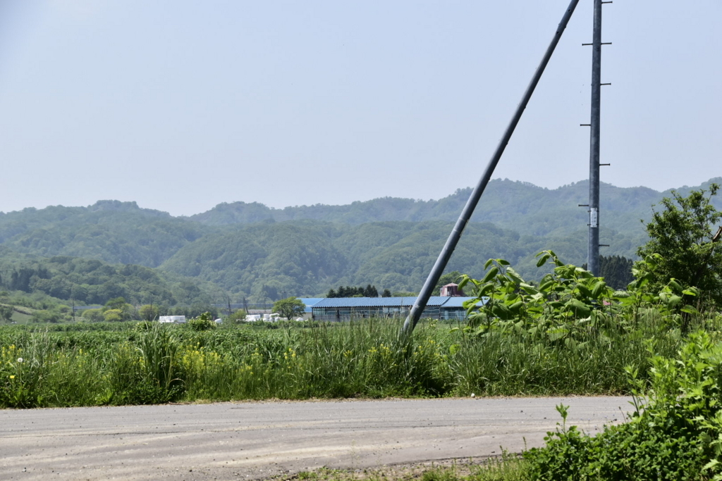 f:id:sakurakura0:20180609201534j:plain f:id:sakurakura0:20180609201534j:plain