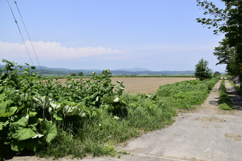 f:id:sakurakura0:20180609201536j:plain f:id:sakurakura0:20180609201536j:plain