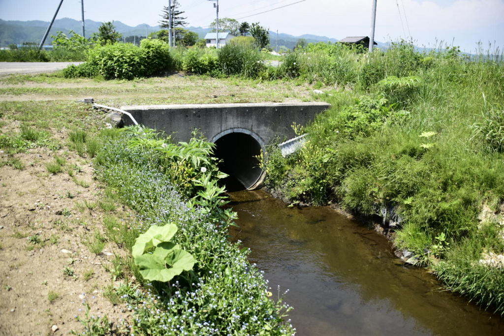 f:id:sakurakura0:20180609201542j:plain f:id:sakurakura0:20180609201542j:plain