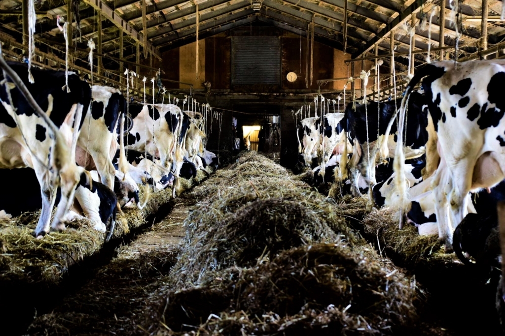 f:id:sakurakura0:20180610194624j:plain f:id:sakurakura0:20180610194624j:plain