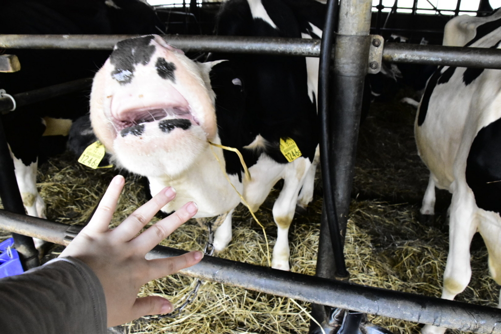 f:id:sakurakura0:20180610194746j:plain f:id:sakurakura0:20180610194746j:plain