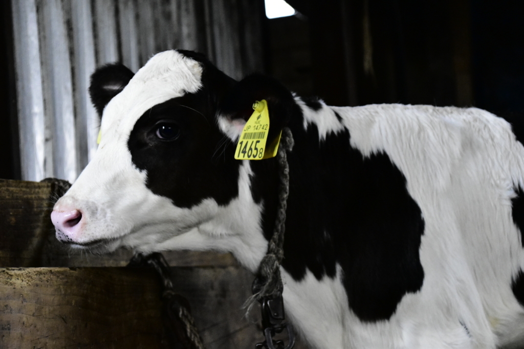 f:id:sakurakura0:20180610194757j:plain f:id:sakurakura0:20180610194757j:plain