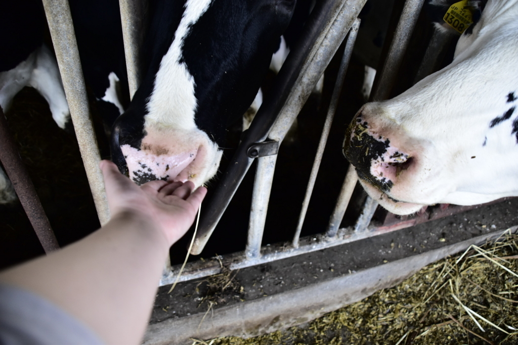 f:id:sakurakura0:20180610194814j:plain f:id:sakurakura0:20180610194814j:plain